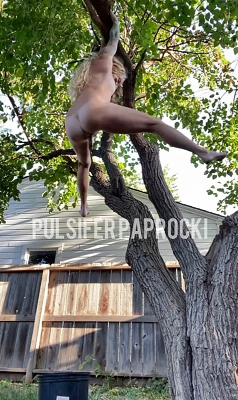 Pulsifer Paprocki - Hanging Tree Poop